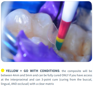 Go-No-Go-System-IFU-pdf (1).png