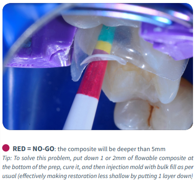 Go-No-Go-System-IFU-pdf (2).png